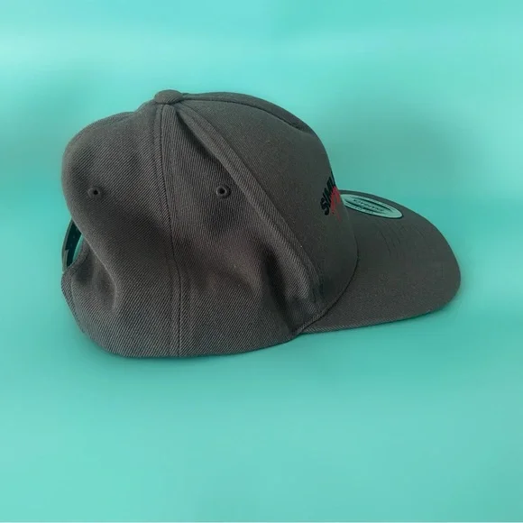 Muse band simulation theory hat concert merch unisex new with tags gray cap - Picture 4 of 6